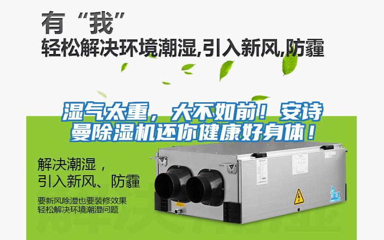 濕氣太重,大不如前!安詩(shī)曼除濕機(jī)還你健康好身體!