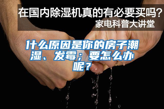 什么原因是你的房子潮濕、發(fā)霉；要怎么辦呢？