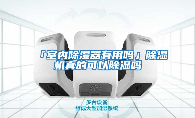 「室內除濕器有用嗎」除濕機真的可以除濕嗎