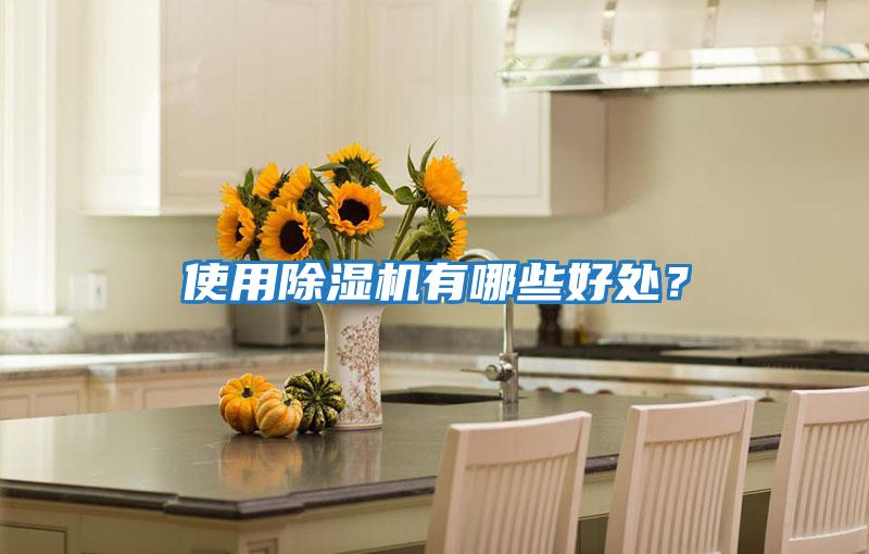使用除濕機有哪些好處？