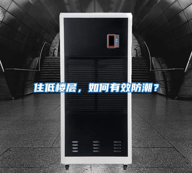 住低樓層，如何有效防潮？