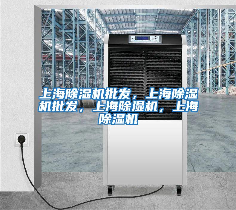 上海除濕機(jī)批發(fā)，上海除濕機(jī)批發(fā)，上海除濕機(jī)，上海除濕機(jī)