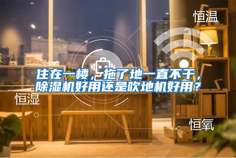 住在一樓，拖了地一直不干，除濕機好用還是吹地機好用？