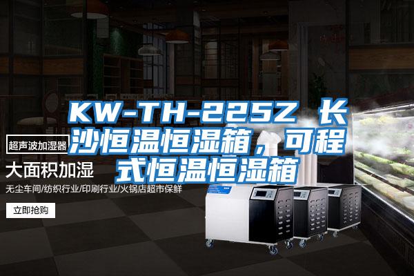 KW-TH-225Z 長沙恒溫恒濕箱,可程式恒溫恒濕箱