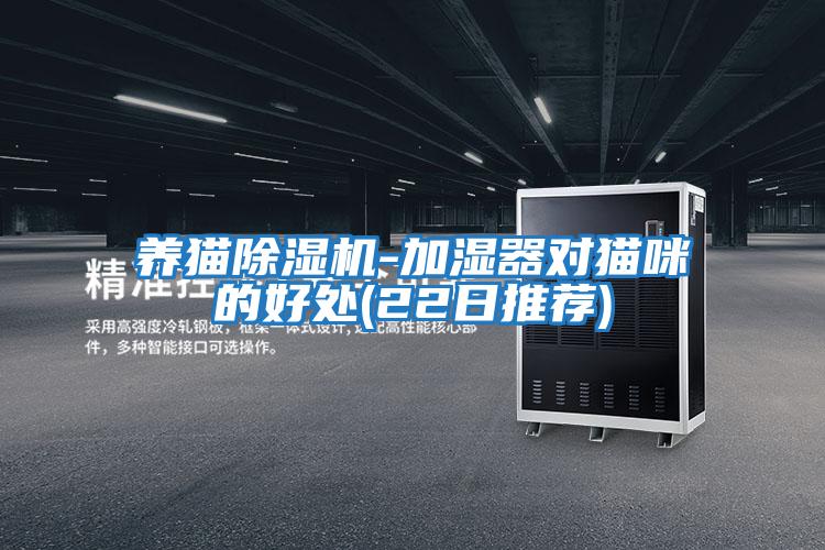 養貓除濕機-加濕器對貓咪的好處(22日推薦)