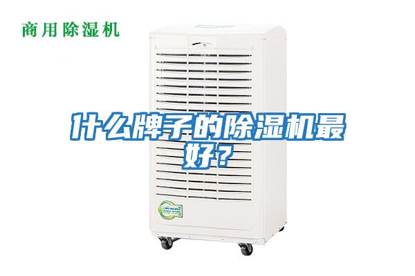 什么牌子的除濕機(jī)最好？