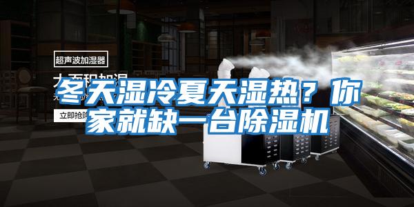 冬天濕冷夏天濕熱？你家就缺一臺除濕機