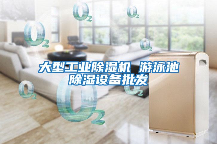 大型工業除濕機 游泳池除濕設備批發
