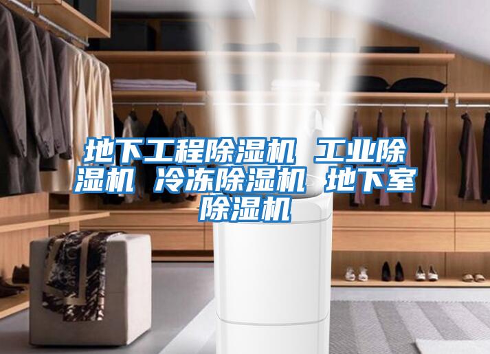 地下工程除濕機 工業除濕機 冷凍除濕機 地下室除濕機