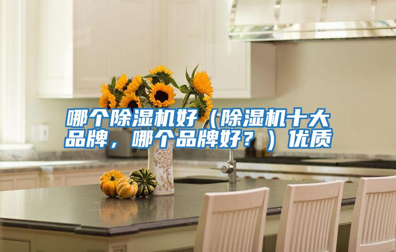 哪個除濕機好（除濕機十大品牌，哪個品牌好？）優質
