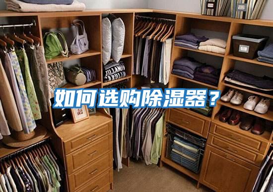 如何選購除濕器?
