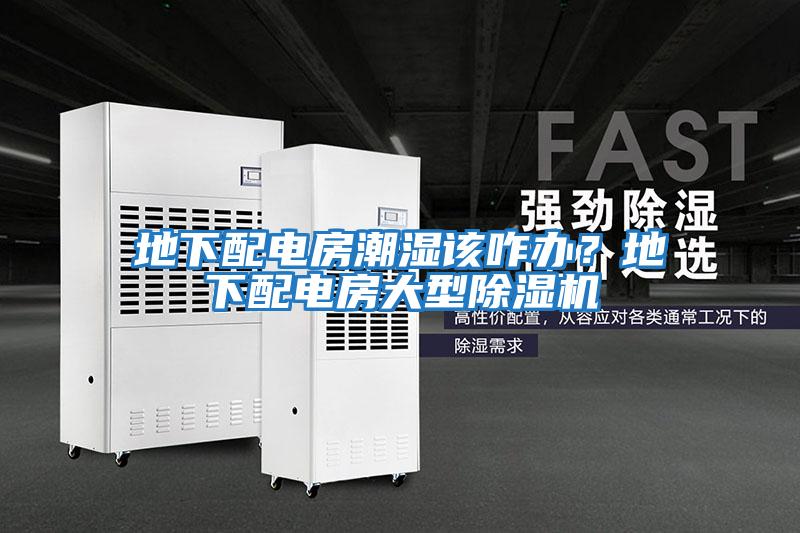 地下配電房潮濕該咋辦？地下配電房大型除濕機(jī)