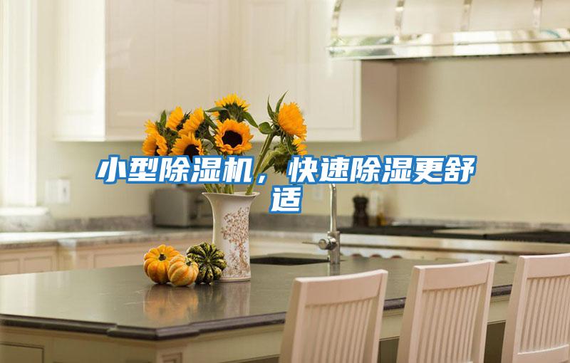 小型除濕機，快速除濕更舒適