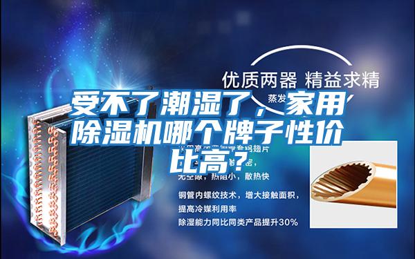 受不了潮濕了，家用除濕機哪個牌子性價比高？