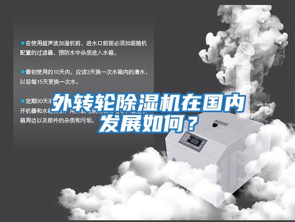 外轉輪除濕機在國內發展如何？