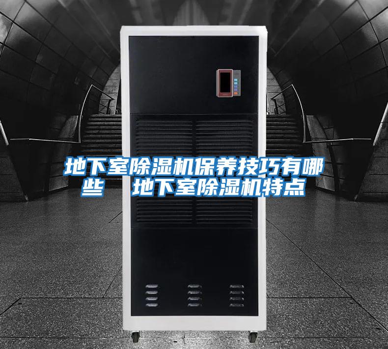 地下室除濕機保養(yǎng)技巧有哪些 地下室除濕機特點