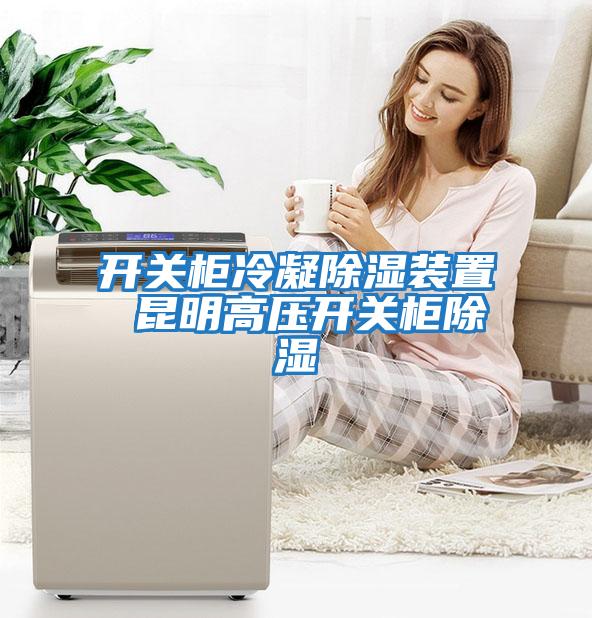 開(kāi)關(guān)柜冷凝除濕裝置 昆明高壓開(kāi)關(guān)柜除濕
