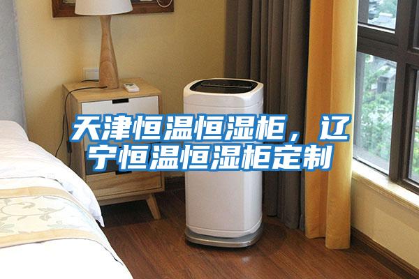 天津恒溫恒濕柜，遼寧恒溫恒濕柜定制