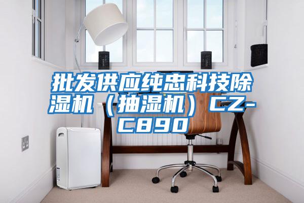 批發(fā)供應(yīng)純忠科技除濕機(jī)(抽濕機(jī))CZ-C890