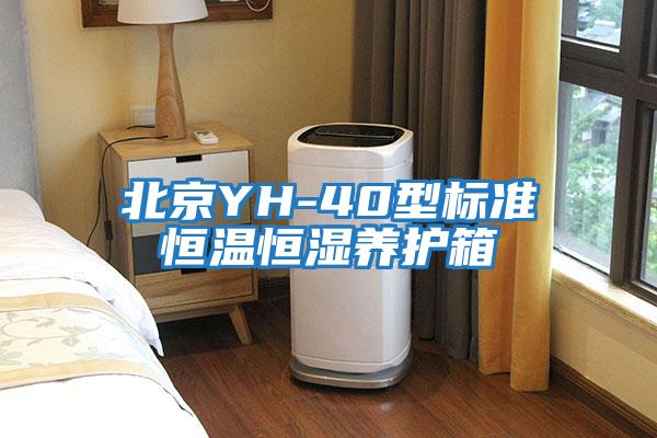 北京YH-40型標(biāo)準(zhǔn)恒溫恒濕養(yǎng)護(hù)箱