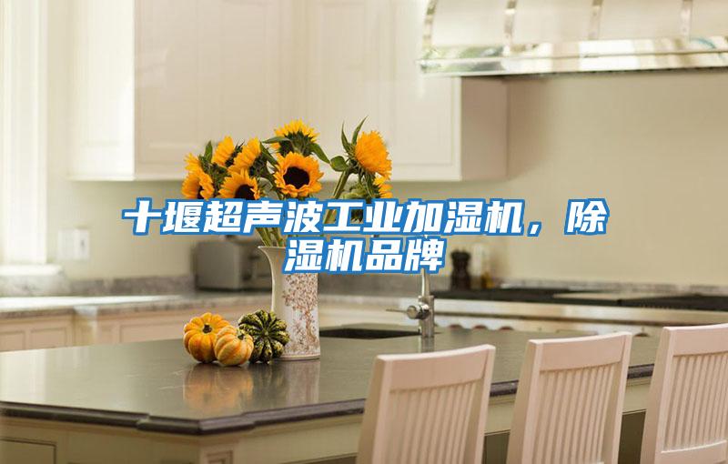 十堰超聲波工業加濕機，除濕機品牌