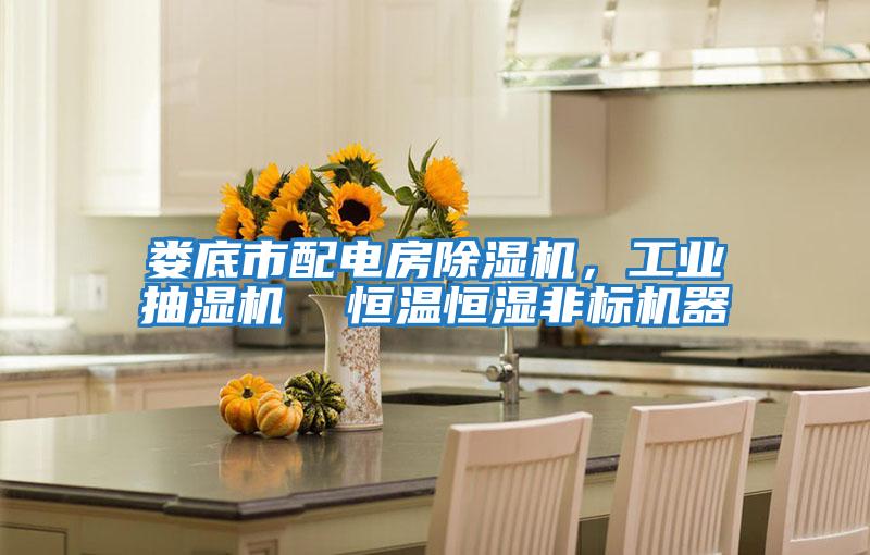 婁底市配電房除濕機,工業(yè)抽濕機 恒溫恒濕非標機器