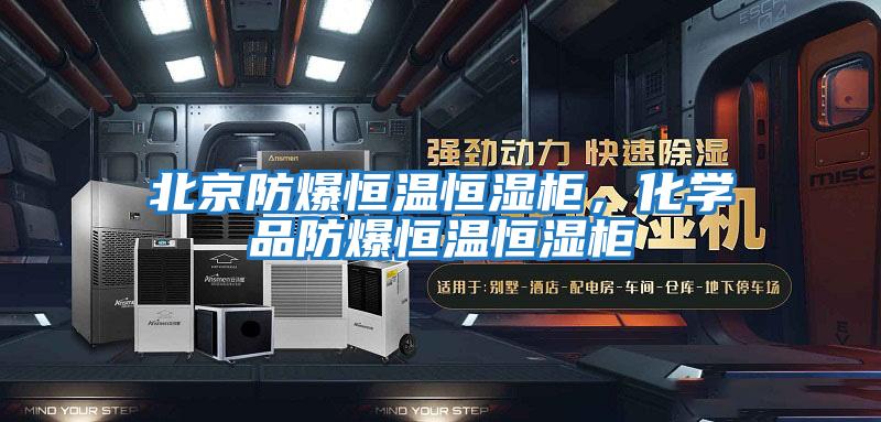 北京防爆恒溫恒濕柜,化學(xué)品防爆恒溫恒濕柜