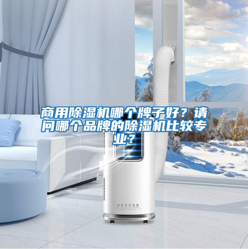 商用除濕機哪個牌子好？請問哪個品牌的除濕機比較專業？