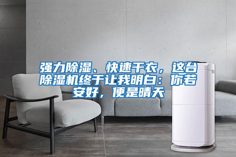 強(qiáng)力除濕、快速干衣，這臺(tái)除濕機(jī)終于讓我明白：你若安好，便是晴天