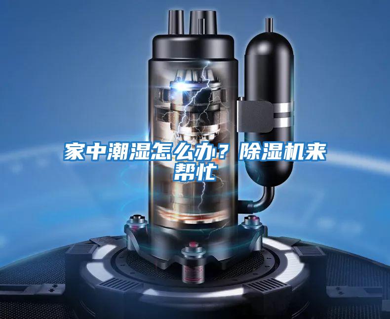 家中潮濕怎么辦？除濕機來幫忙