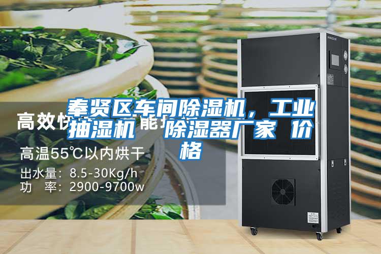 奉賢區車間除濕機，工業抽濕機  除濕器廠家 價格