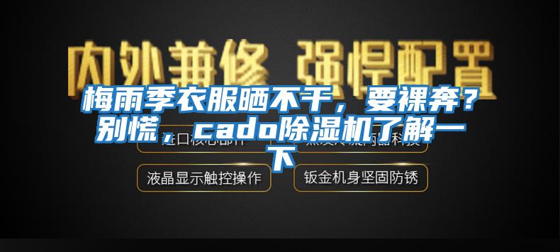 梅雨季衣服曬不干，要裸奔？別慌，cado除濕機(jī)了解一下