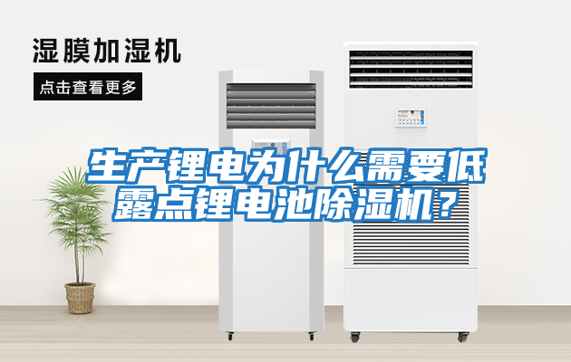 生產鋰電為什么需要低露點鋰電池除濕機？