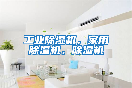 工業除濕機，家用除濕機，除濕機