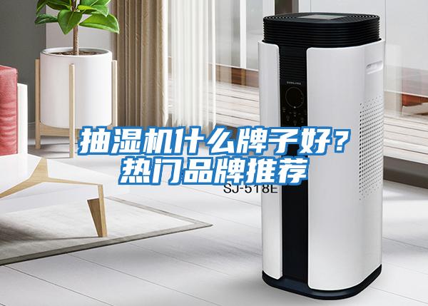 抽濕機什么牌子好？熱門品牌推薦