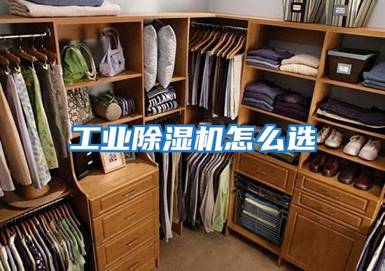 工業除濕機怎么選