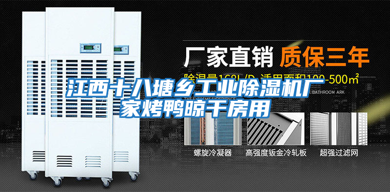 江西十八塘鄉工業除濕機廠家烤鴨晾干房用