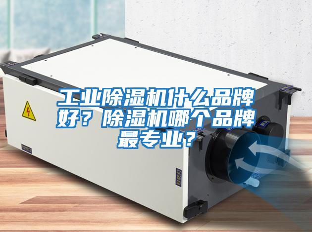 工業(yè)除濕機什么品牌好？除濕機哪個品牌最專業(yè)？