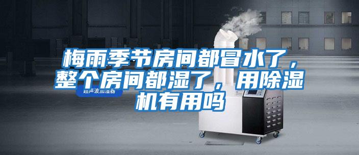 梅雨季節(jié)房間都冒水了，整個房間都濕了，用除濕機(jī)有用嗎