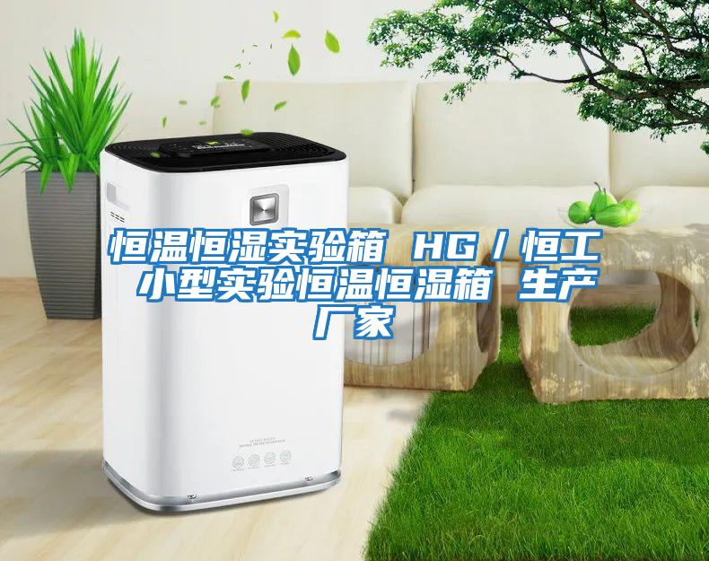 恒溫恒濕實驗箱 HG／恒工 小型實驗恒溫恒濕箱 生產廠家