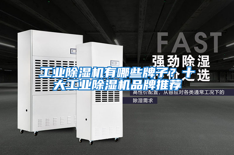 工業除濕機有哪些牌子？十大工業除濕機品牌推薦