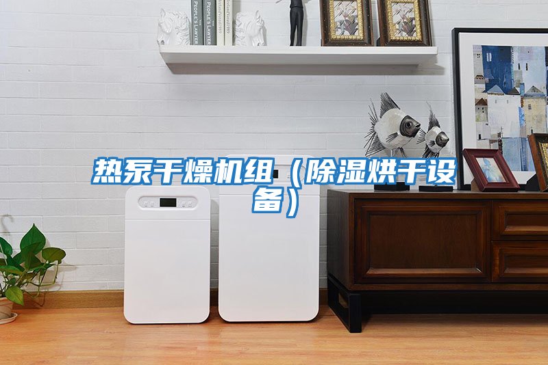 熱泵干燥機組（除濕烘干設(shè)備）