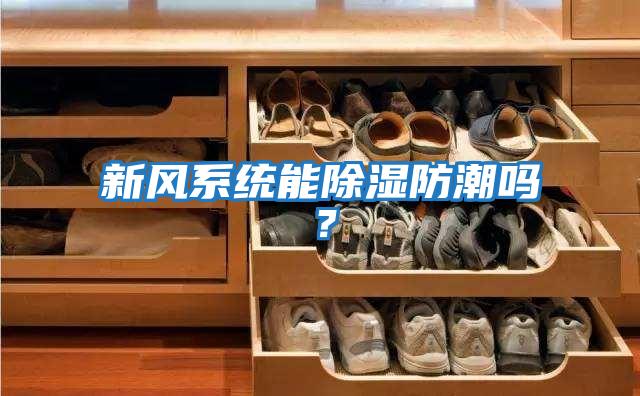 新風系統(tǒng)能除濕防潮嗎？