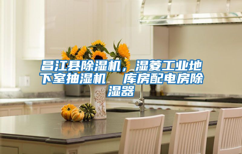 昌江縣除濕機，濕菱工業地下室抽濕機  庫房配電房除濕器