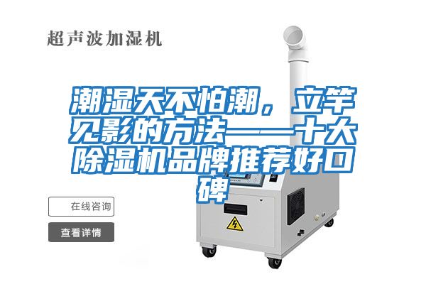 潮濕天不怕潮，立竿見影的方法——十大除濕機(jī)品牌推薦好口碑