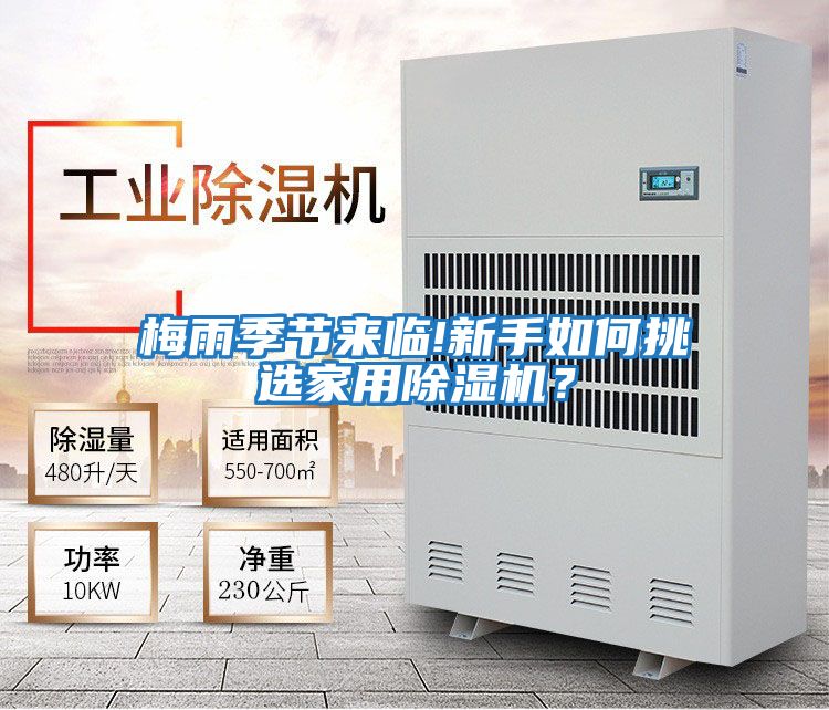 梅雨季節來臨!新手如何挑選家用除濕機？