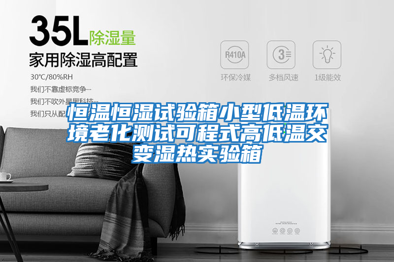 恒溫恒濕試驗箱小型低溫環(huán)境老化測試可程式高低溫交變濕熱實驗箱