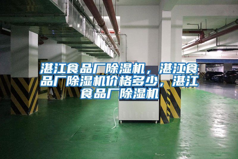 湛江食品廠除濕機，湛江食品廠除濕機價格多少，湛江食品廠除濕機