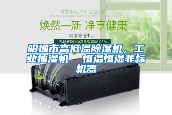 昭通市高低溫除濕機，工業抽濕機  恒溫恒濕非標機器