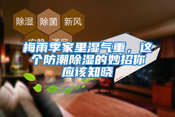 梅雨季家里濕氣重，這個防潮除濕的妙招你應該知曉